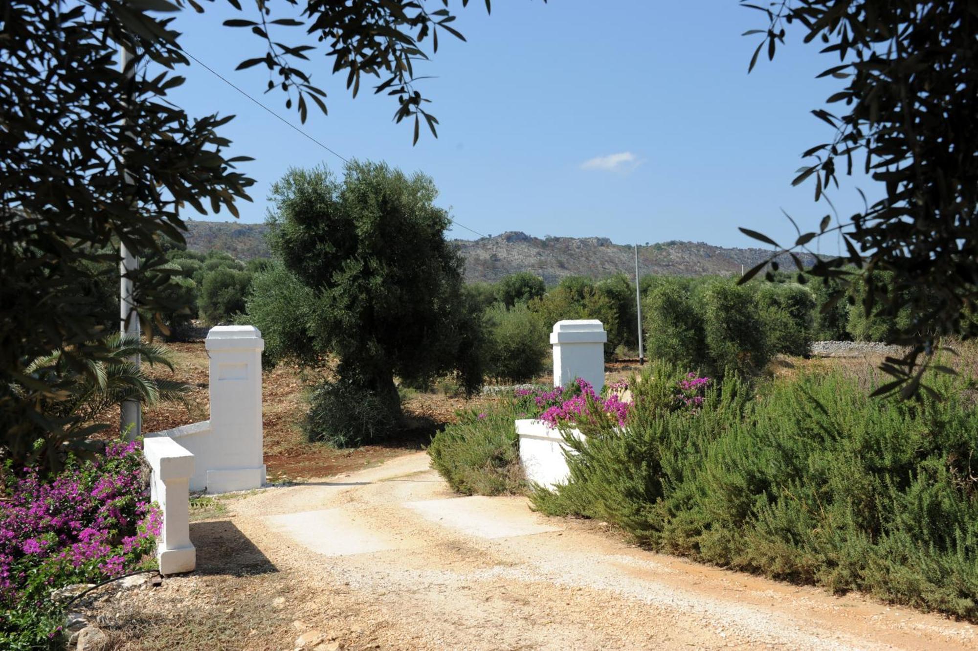 Masseria Lama Di Galizia Ostuni Exteriér fotografie