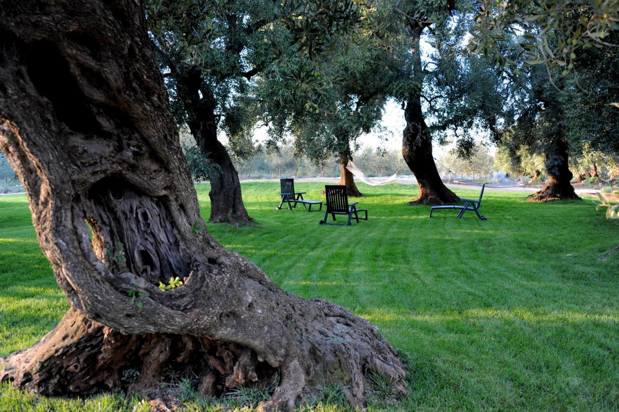 Masseria Lama Di Galizia Ostuni Exteriér fotografie