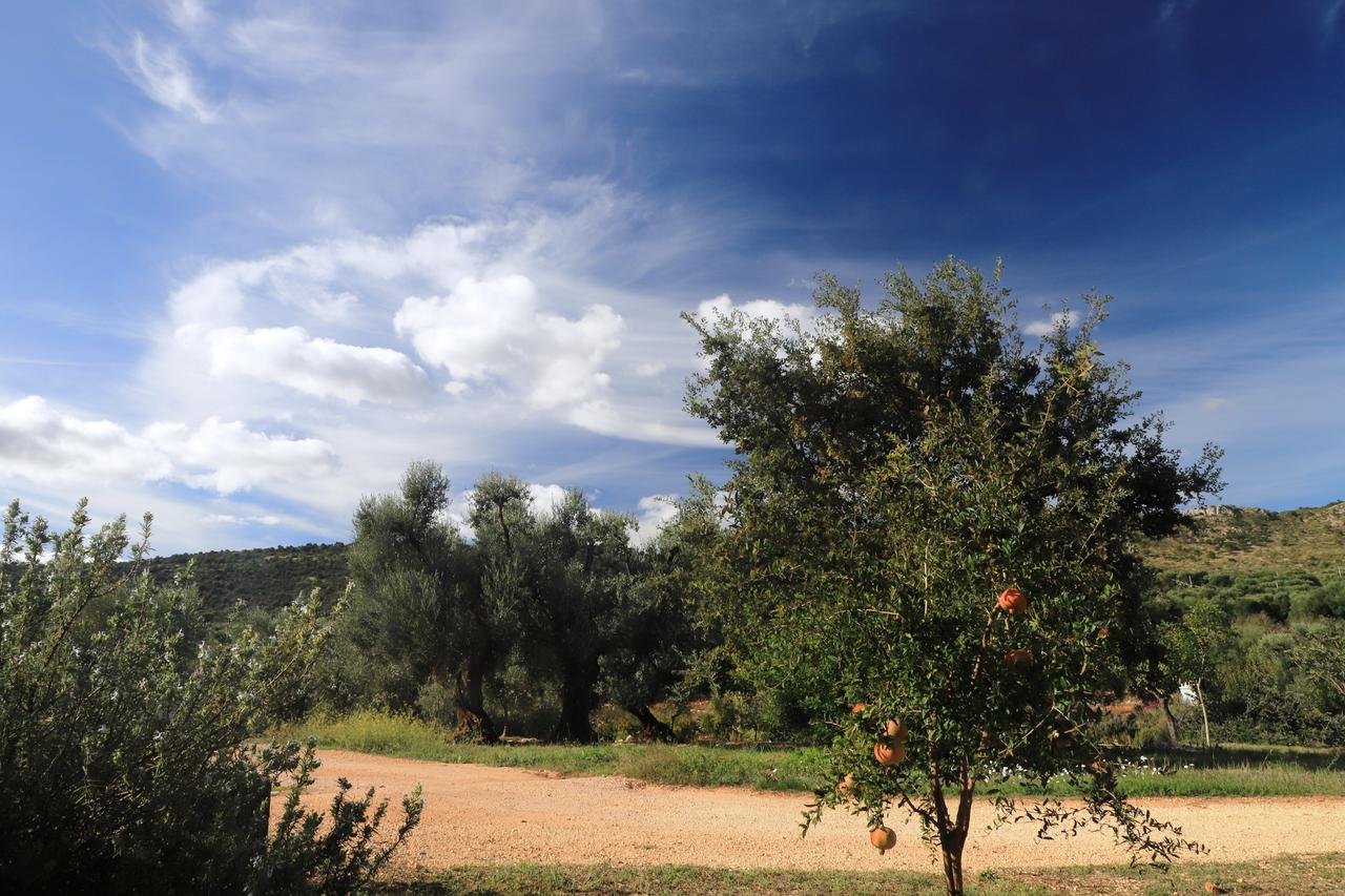 Masseria Lama Di Galizia Ostuni Exteriér fotografie