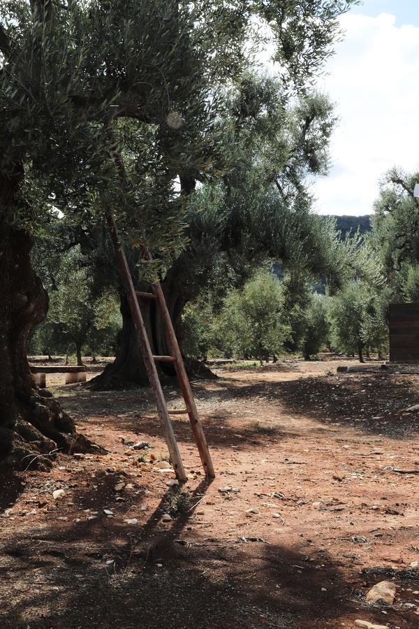 Masseria Lama Di Galizia Ostuni Exteriér fotografie